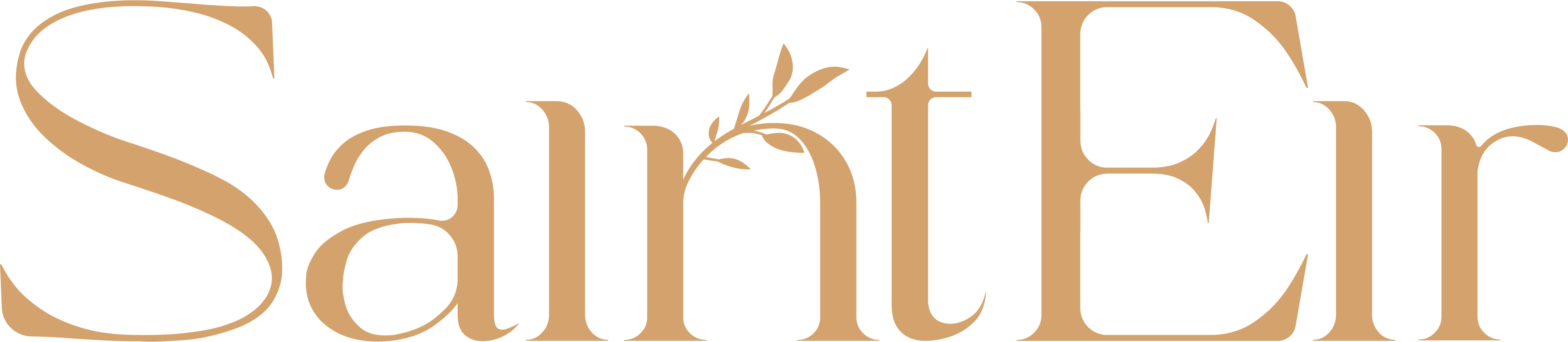 Saint Eir